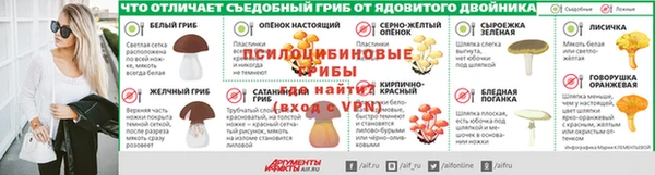 spice Каменка