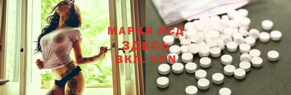 spice Каменка
