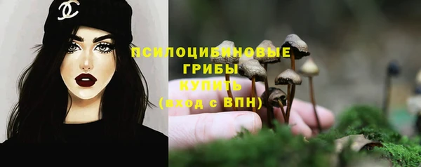 гидра Каменск-Шахтинский