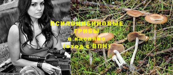 spice Каменка