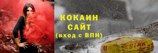 spice Каменка