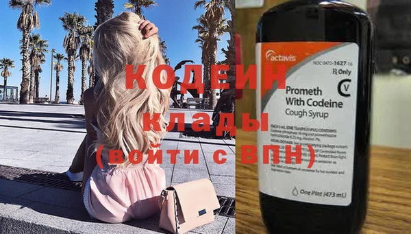 spice Каменка