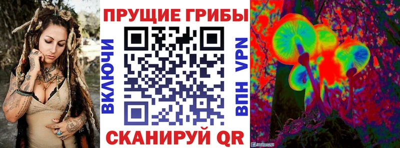 Купить закладки  Кувандык  Галлюциногенные грибы Cubensis 